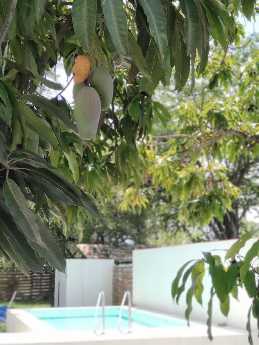 Casa Mango Amplia Con Alberca Y Cerca De La Media Luna !!! Rio Verde Exterior photo