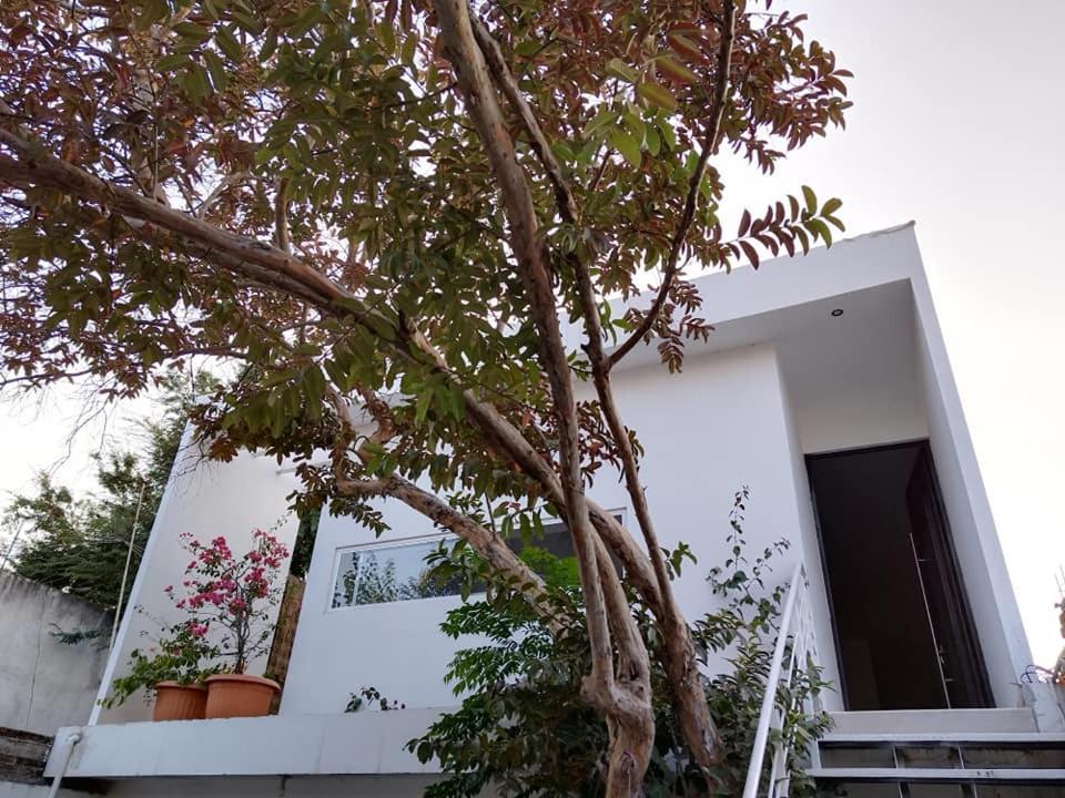 Casa Mango Amplia Con Alberca Y Cerca De La Media Luna !!! Rio Verde Exterior photo